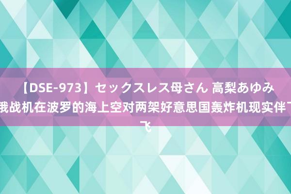 【DSE-973】セックスレス母さん 高梨あゆみ 俄战机在波罗的海上空对两架好意思国轰炸机现实伴飞