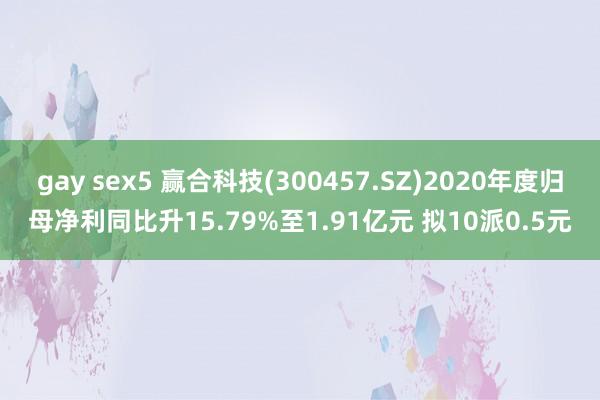 gay sex5 赢合科技(300457.SZ)2020年度归母净利同比升15.79%至1.91亿元 拟10派0.5元