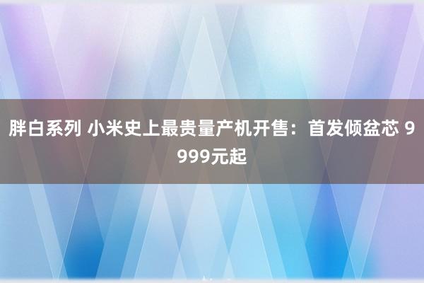 胖白系列 小米史上最贵量产机开售：首发倾盆芯 9999元起