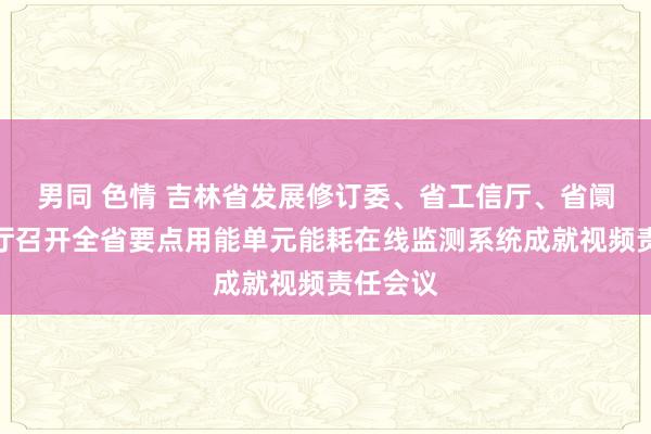 男同 色情 吉林省发展修订委、省工信厅、省阛阓监管厅召开全省要点用能单元能耗在线监测系统成就视频责任会议