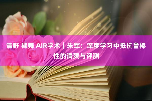 清野 裸舞 AIR学术｜朱军：深度学习中抵抗鲁棒性的清爽与评测